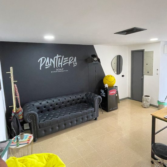 Micropigmentacion capilar en medellin, panthera scalp